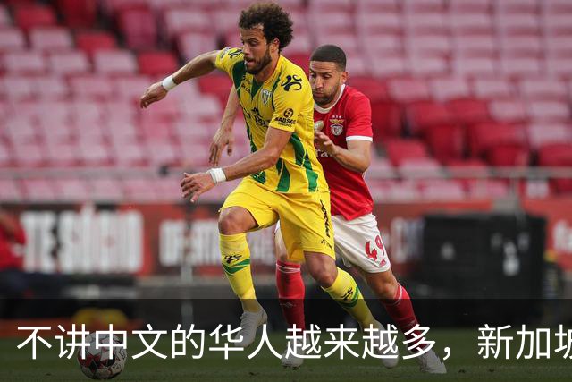 不讲中文的华人越来越多，新加坡总理坐不住了，但这又能怪谁呢？