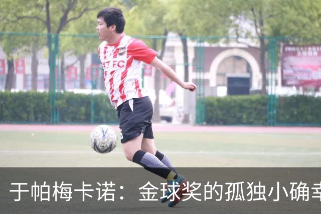 于帕梅卡诺：金球奖的孤独小确幸
