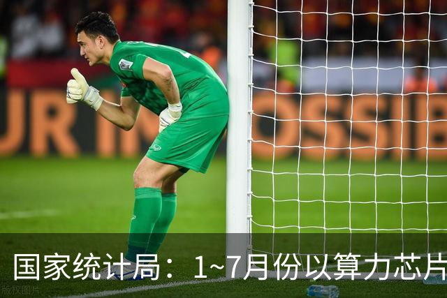国家统计局：1~7月份以算力芯片、存储芯片为代表的集成电路行业利润同比增长18.5倍