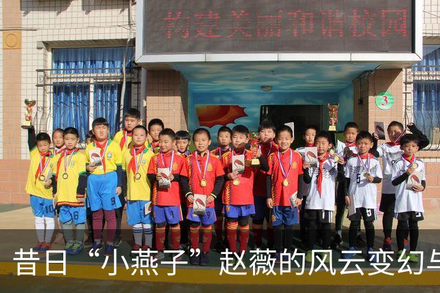 昔日“小燕子”赵薇的风云变幻与新时代的小日子